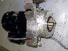  BODINE ELECTRIC Gear Motor,