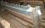 COMPRESSION Roll Set - 108" COMPRESSION Roll Set - 108"
